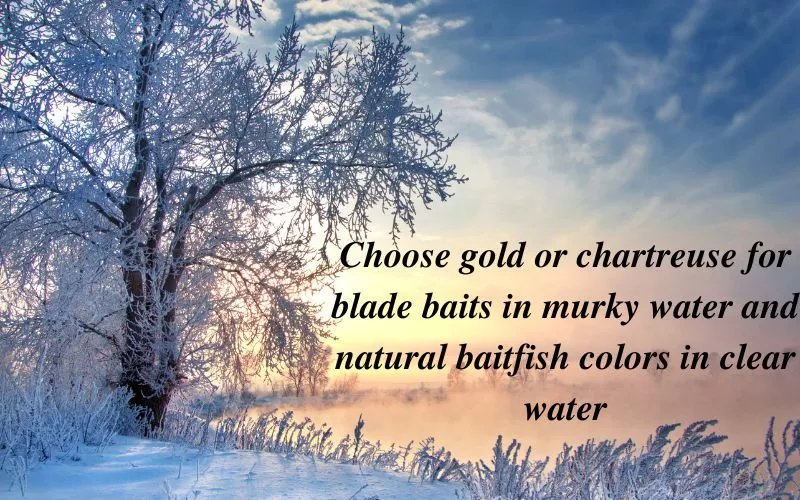 Use gold Lure color for bass fishing in winter