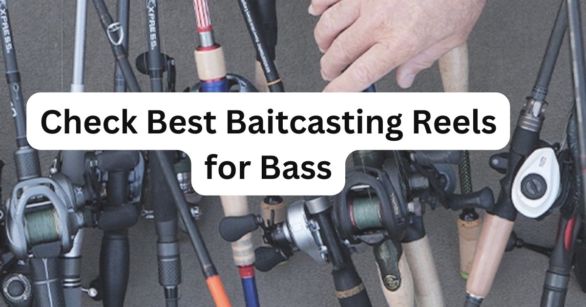 Best Baitcasting Reels for Bass